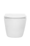 Унитаз подвесной Boheme Mane 973-SET-W